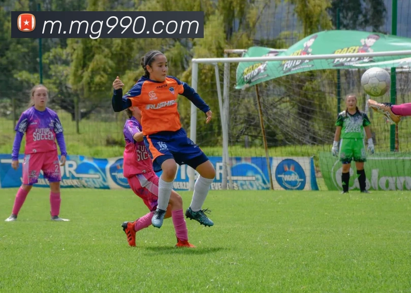 App Interface Preview